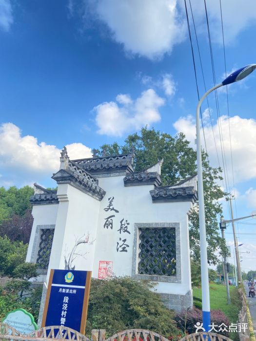 固始鹅块图片