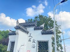 -固始鹅块