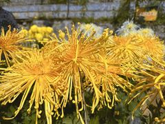 -贵州省植物园