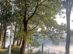 -红花湖景区