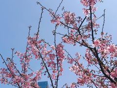 -艾溪湖湿地公园