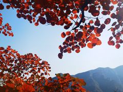 -周口店坡峰岭风景区