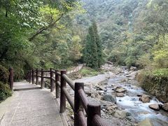 -西岭雪山大飞水景区