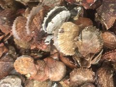 -宾朋海鲜特色美食餐厅·纯手工鲅鱼水饺(兴海路店)