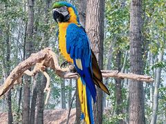 -北京野生动物园