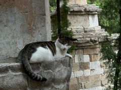 -四门塔风景区