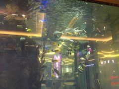 -碧桂园凤凰城酒店(南京店)