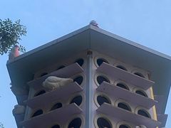 -北京鹿世界主题园