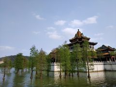 -顺峰山公园