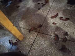 -巴人堂(女儿城店)