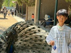 -秦皇岛野生动物园