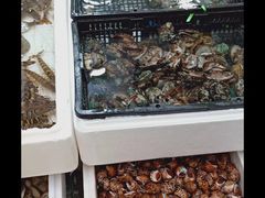 -青石桥市场北1-27号