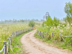 -野鸭湖国家湿地公园