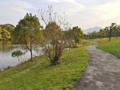 -福建鲤鱼洲酒店