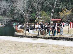 -龙湾潭国家森林公园