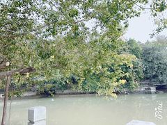 -小洲村
