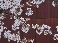 -龙美术馆(西岸馆)