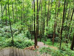 -凤栖山