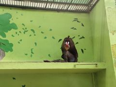 -荆州中山公园动物园