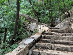 -大岭沟猕猴桃谷风景区