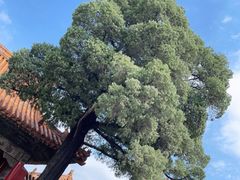 -故宫钟表馆