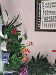 -北京美痣堂古方祛痣斑疣瘊
