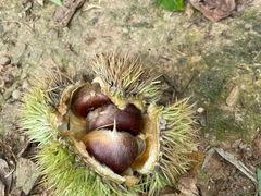 -亮河湾山庄