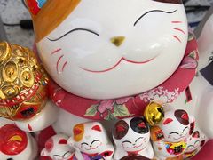 -美可普口腔医院(东街分店)