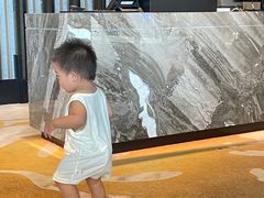 -成都天府丽都喜来登饭店