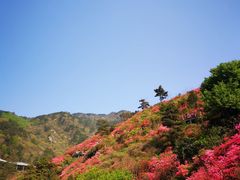 -木兰云雾山