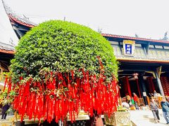 -古大圣慈寺