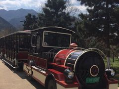 -西安秦岭野生动物园