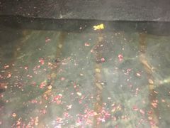 -北京瑞麟湾温泉度假酒店