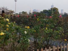 -海心沙亚运公园