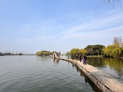 -鲁镇