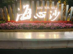 -海心沙亚运公园