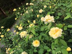 -人民公园(罗湖区)