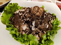 -海底捞火锅(锦艺城店)