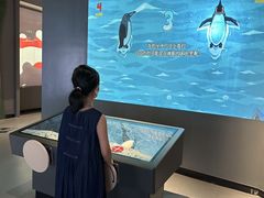 -厦门诚毅自然探索馆