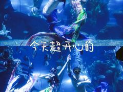 -南昌海洋公园
