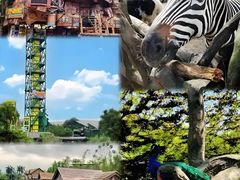 -长鹿旅游休博园