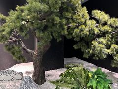 -百年认一力·清真牛羊肉(南中环店)