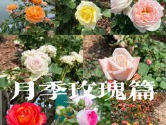 -上海辰山植物园