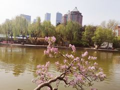 -团结湖公园