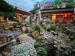 -山菌美食苑(振兴路店)