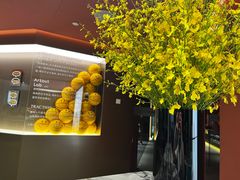 -TRACTION 运动中心(金融街店)