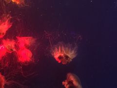 -UNI UNI(环亚凯瑟琳店)