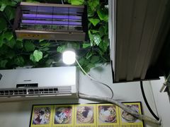 -糖糖冰粉(凤城三路总店)