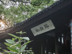 -上海醉白池公园