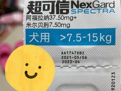 -芭比堂动物医院·24小时·眼科中心(深圳中心)